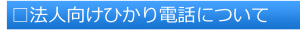 □法人向けひかり電話について(題)